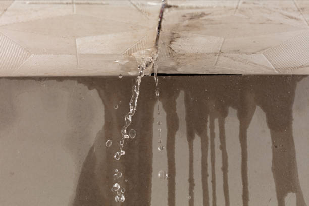 Professional Structural Drying technician working in Mascoutah, IL